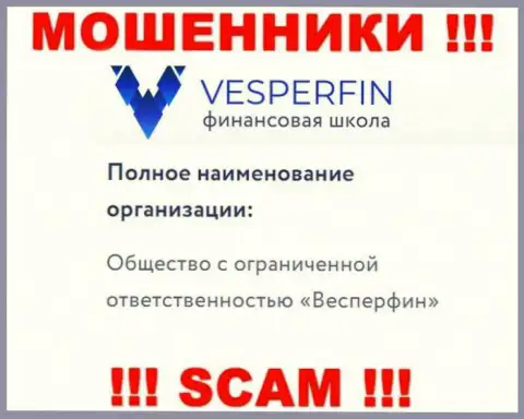 Инфа про юридическое лицо интернет мошенников ВесперФин - ООО Весперфин, не сохранит Вас от их грязных рук