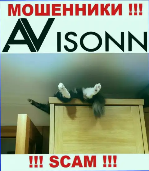 На сервисе мошенников Avisonn Com вы не разыщите инфы о регуляторе, его просто НЕТ !!!