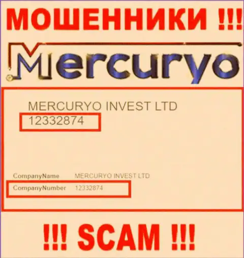 Номер регистрации противозаконно действующей конторы Меркурио Ко Ком - 12332874