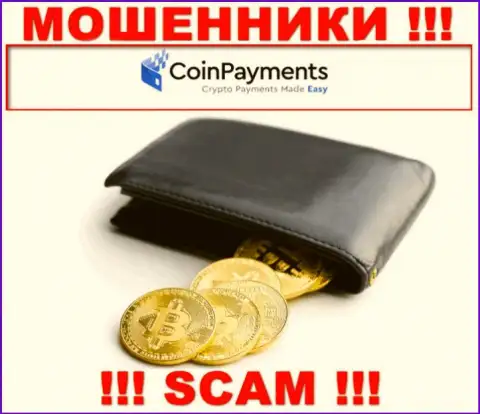 Будьте крайне бдительны, сфера деятельности Coin Payments, Крипто кошелек - разводняк !!!