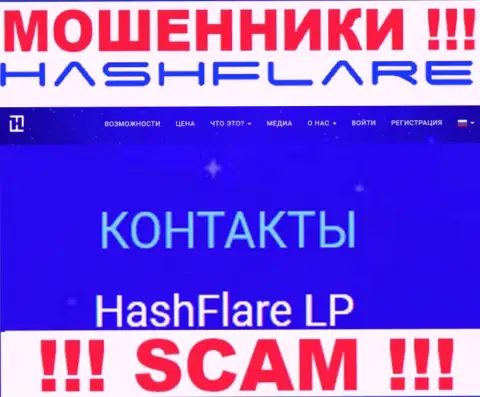 Сведения о юридическом лице интернет мошенников HashFlare Io