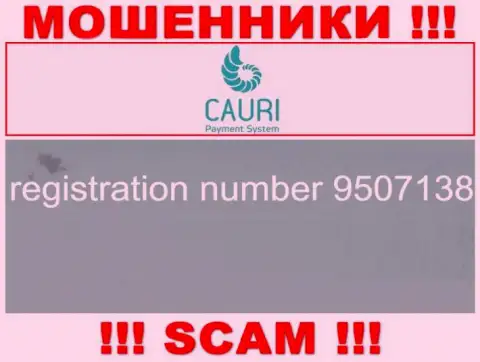 Регистрационный номер, принадлежащий противоправно действующей конторе Каури Ком - 9507138
