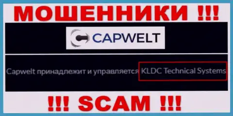 Юридическое лицо компании CapWelt - это КЛДЦ Техникал Системс, информация взята с официального сайта