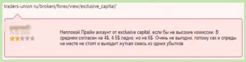 Комментарий, после изучения которого стало ясно, что компания Exclusive Change Capital Ltd - это ВОРЮГИ !!!