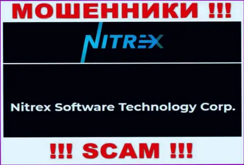 Сомнительная компания Нитрекс Про в собственности такой же противозаконно действующей организации Нитрекс Софтваре Технолоджи Корп
