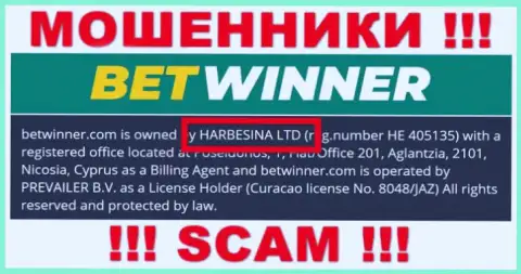 Мошенники Бет Виннер утверждают, что HARBESINA LTD руководит их разводняком