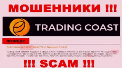 Сфера деятельности TradingCoast: Forex - хороший доход для интернет мошенников