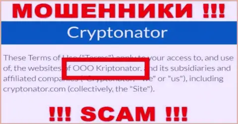 Компания Криптонатор Ком находится под крышей компании OOO Криптонатор
