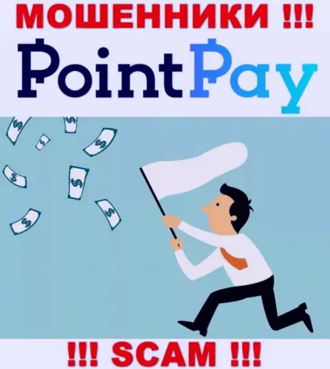 И не надейтесь, что с организацией Point Pay можно работать - это МОШЕННИКИ