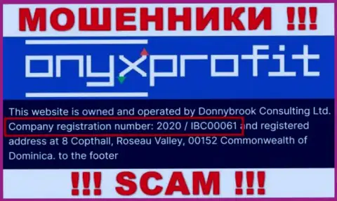 Регистрационный номер, который присвоен конторе OnyxProfit Pro - 2020 / IBC00061