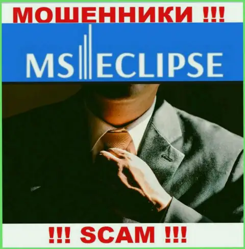 Информации о лицах, руководящих MS Eclipse в глобальной internet сети отыскать не представилось возможным