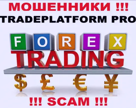 Не стоит верить, что деятельность TradePlatform Pro в сфере FOREX законная