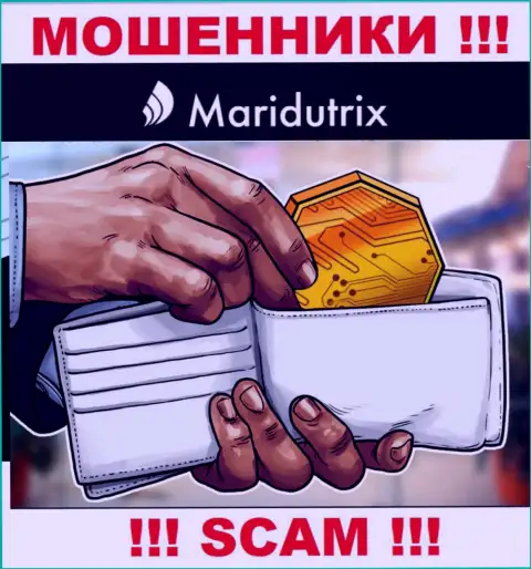 Криптовалютный кошелек - именно в данной сфере прокручивают свои делишки ушлые internet-аферисты Maridutrix