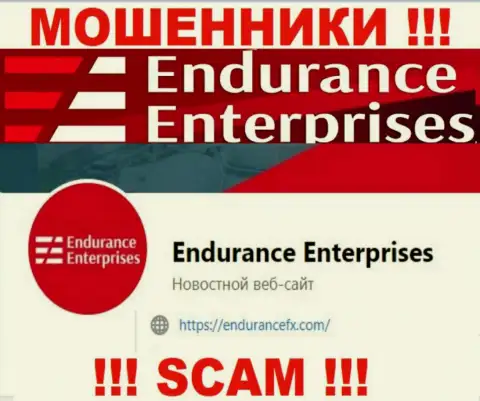 Связаться с internet-аферистами из конторы EnduranceEnterprises Вы можете, если напишите сообщение на их е-мейл