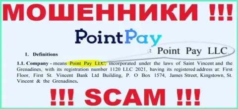Point Pay LLC - это контора, которая управляет аферистами ПоинтПей Ио