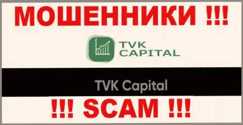 TVK Capital - это юридическое лицо аферистов TVK Capital