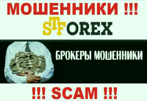 Ворюги STForex только лишь пудрят мозги валютным игрокам, обещая заоблачную прибыль