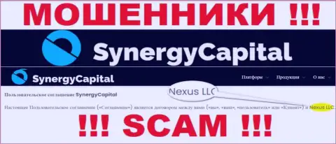 Юридическое лицо, которое управляет интернет мошенниками СинерджиКапитал - это Нексус ЛЛК
