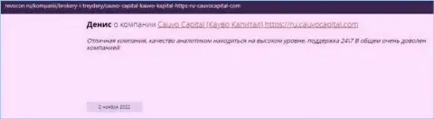 Компания Cauvo Capital описана в комментарии на веб-портале Revocon Ru