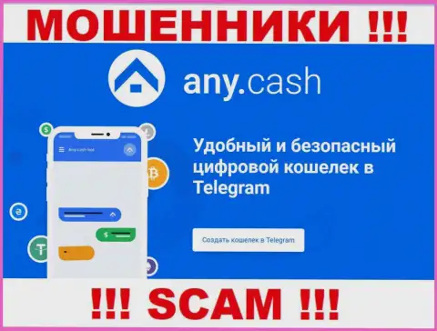 ЭниКэш - это мошенники, их работа - Виртуальный кошелек, направлена на слив денежных средств клиентов